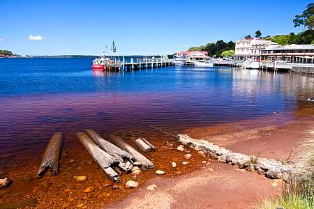 2009-12-02_Canon EOS 40D_IMG_2885.jpg