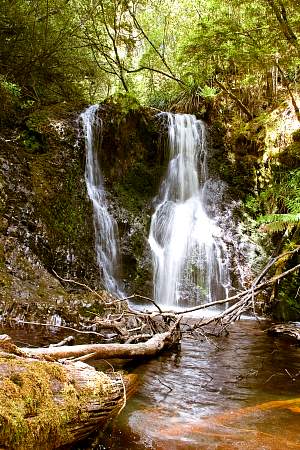 2009-12-02_Canon EOS 40D_IMG_2898.jpg