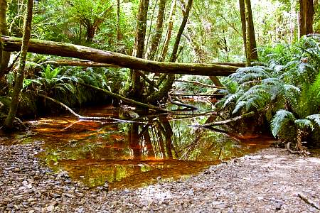 2009-12-02_Canon EOS 40D_IMG_2917.jpg