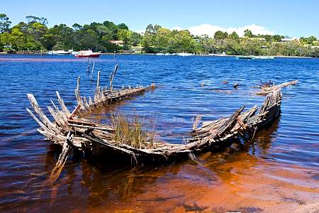 2009-12-02_Canon EOS 40D_IMG_2944.jpg