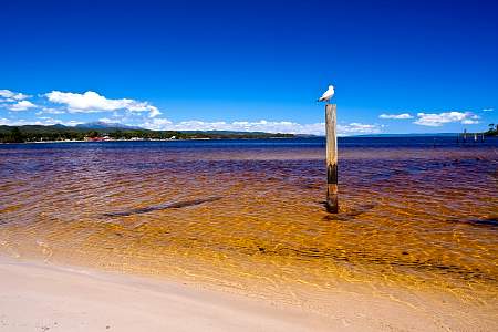 2009-12-02_Canon EOS 40D_IMG_2986.jpg