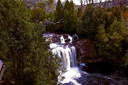2009-12-04_Canon EOS 40D_IMG_3126.jpg