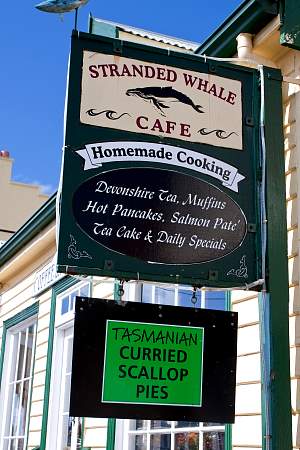 2009-12-05_Canon EOS 40D_IMG_3218.jpg