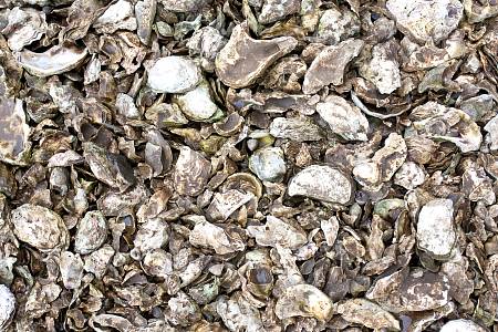 2009-12-08_Canon EOS 40D_IMG_3300.jpg