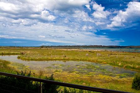 2009-12-08_Canon EOS 40D_IMG_3301.jpg