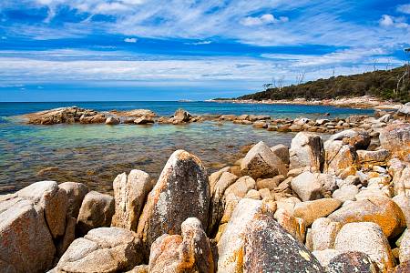 2009-12-08_Canon EOS 40D_IMG_3307.jpg