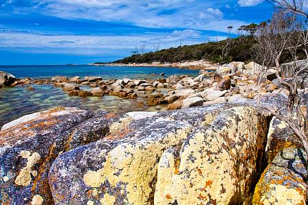 2009-12-08_Canon EOS 40D_IMG_3319.jpg