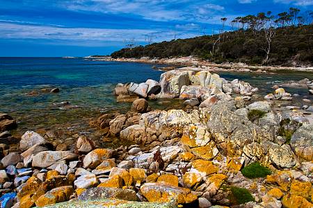 2009-12-08_Canon EOS 40D_IMG_3321.jpg