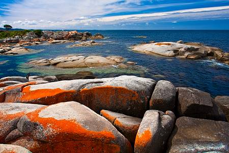 2009-12-08_Canon EOS 40D_IMG_3328.jpg