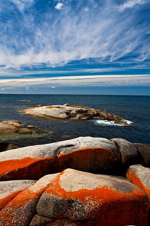 2009-12-08_Canon EOS 40D_IMG_3329.jpg