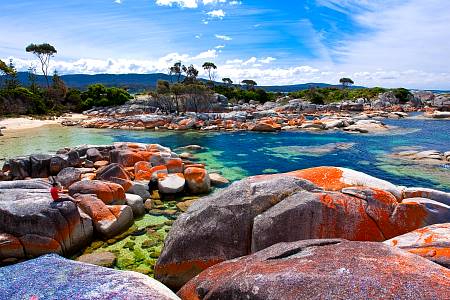 2009-12-08_Canon EOS 40D_IMG_3330.jpg