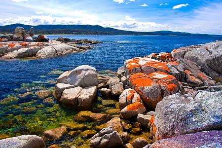 2009-12-08_Canon EOS 40D_IMG_3347.jpg