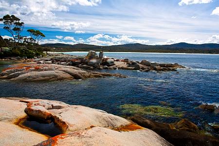 2009-12-08_Canon EOS 40D_IMG_3355.jpg