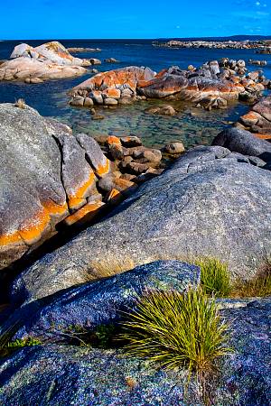 2009-12-08_Canon EOS 40D_IMG_3429.jpg