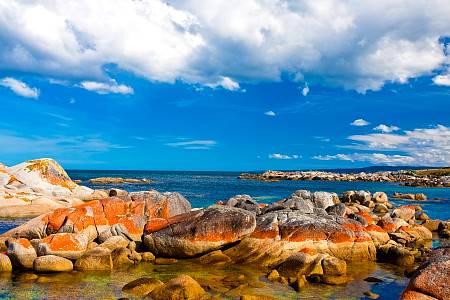 2009-12-08_Canon EOS 40D_IMG_3431.jpg