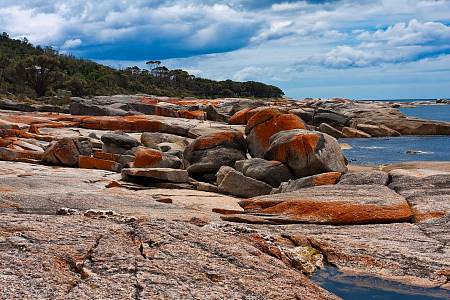 2009-12-10_Canon EOS 40D_IMG_3471.jpg