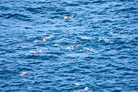 2009-12-11_Canon EOS 40D_IMG_3625.jpg