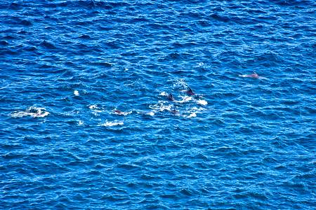 2009-12-11_Canon EOS 40D_IMG_3629.jpg