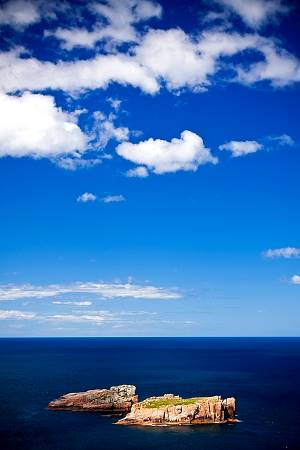 2009-12-11_Canon EOS 40D_IMG_3664.jpg