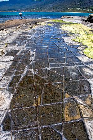 2009-12-12_Canon EOS 40D_IMG_3703.jpg