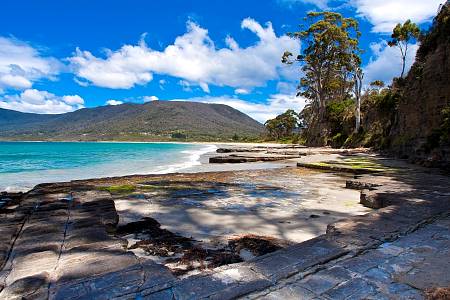 2009-12-12_Canon EOS 40D_IMG_3725.jpg