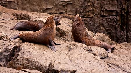 2009-12-13_Canon EOS 40D_IMG_3833.jpg