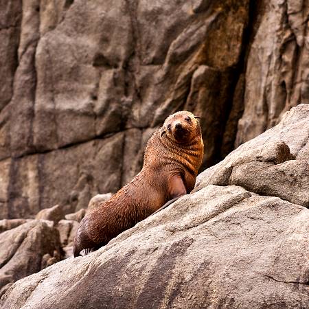 2009-12-13_Canon EOS 40D_IMG_3842.jpg