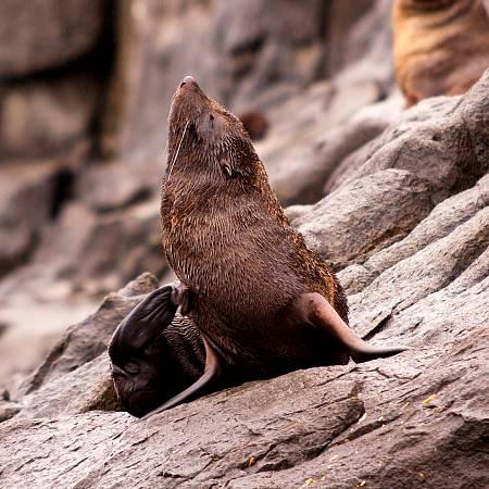 2009-12-13_Canon EOS 40D_IMG_3844.jpg