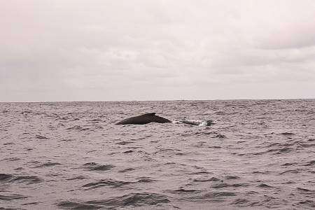 2009-12-13_Canon EOS 40D_IMG_3874.jpg