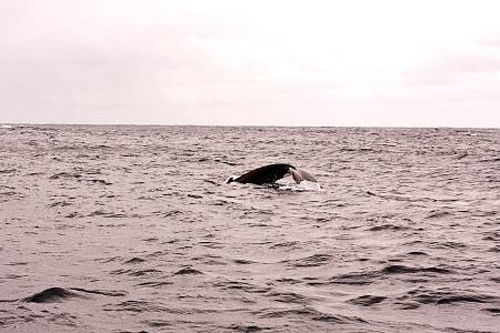 2009-12-13_Canon EOS 40D_IMG_3878.jpg