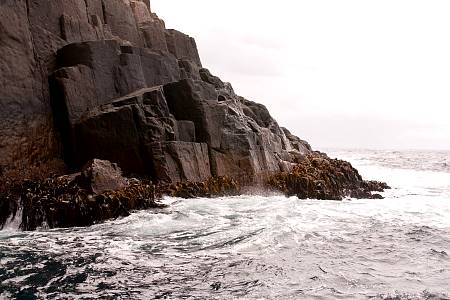 2009-12-13_Canon EOS 40D_IMG_3894.jpg