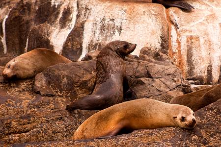 2009-12-13_Canon EOS 40D_IMG_3909.jpg