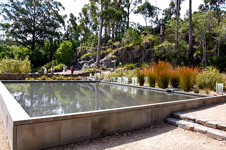 2009-12-14_Canon EOS 40D_IMG_4015.jpg