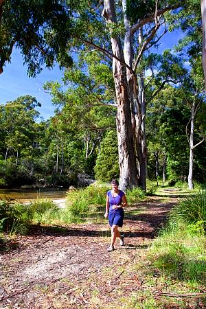 2009-12-15_Canon EOS 40D_IMG_4049.jpg
