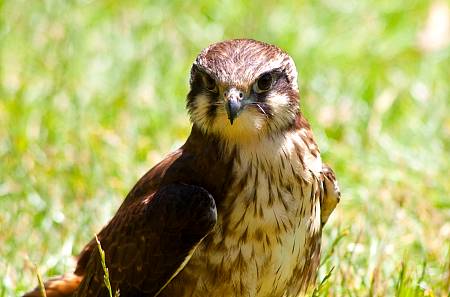 2009-12-15_Canon EOS 40D_IMG_4208.jpg