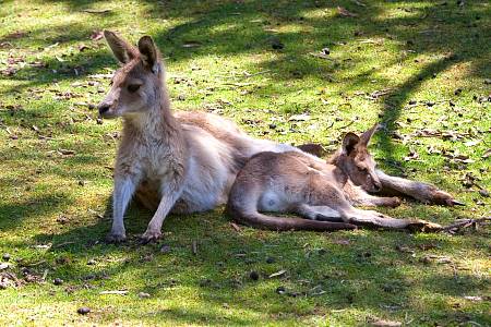 2009-12-15_Canon EOS 40D_IMG_4217.jpg