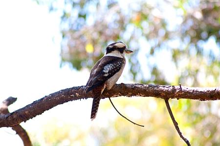 2009-12-15_Canon EOS 40D_IMG_4231.jpg