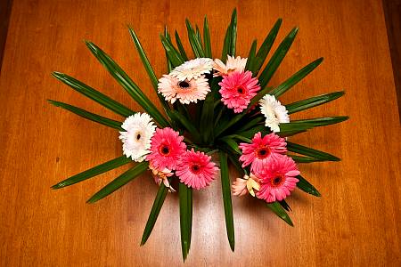 2009-12-19_Canon EOS 40D_IMG_4318.jpg