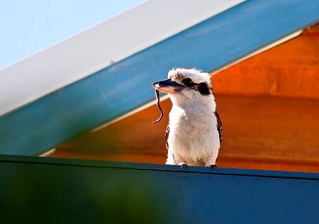 2010-01-03_Canon EOS 40D_IMG_4480.jpg