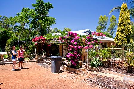 2010-01-09_Canon EOS 40D_IMG_4568.jpg