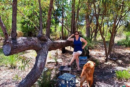 2010-01-09_Canon EOS 40D_IMG_4586.jpg