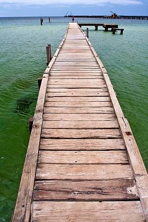 2010-02-02_Canon EOS 40D_IMG_4905.jpg