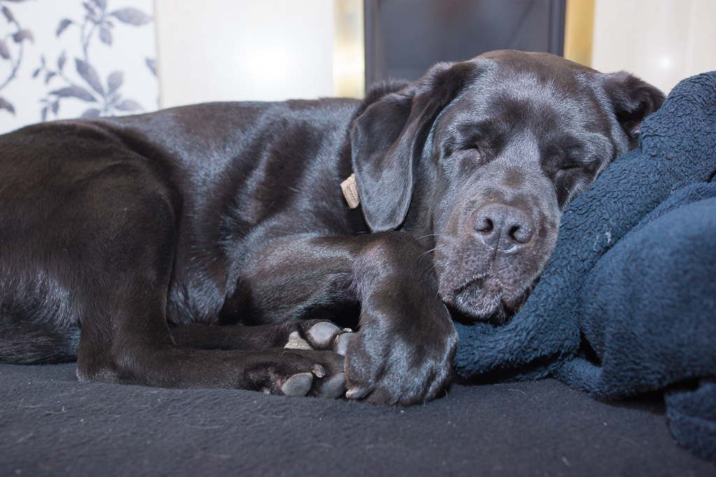 Would everyone PLEASE go home!