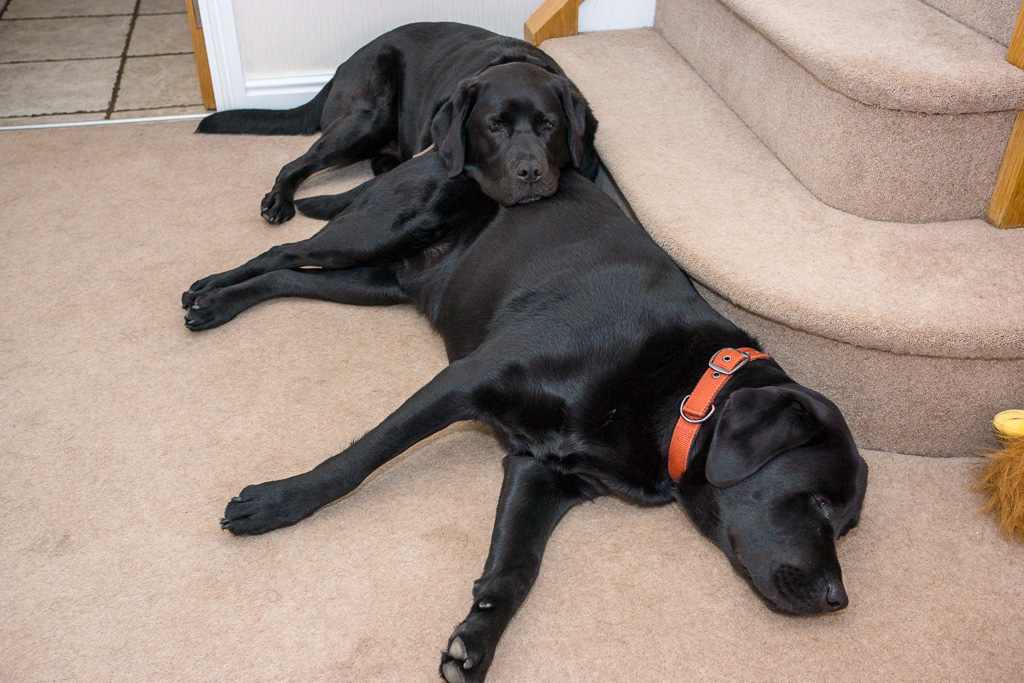 The morning after...