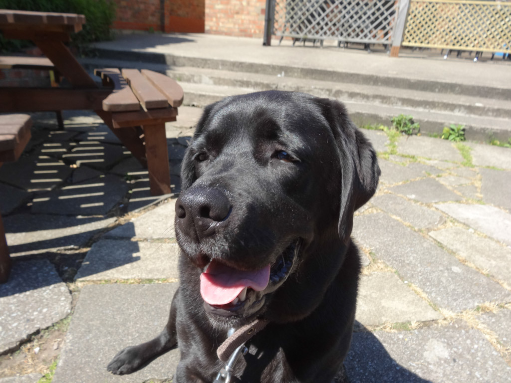 Lunch at the Ship Inn Sewerby