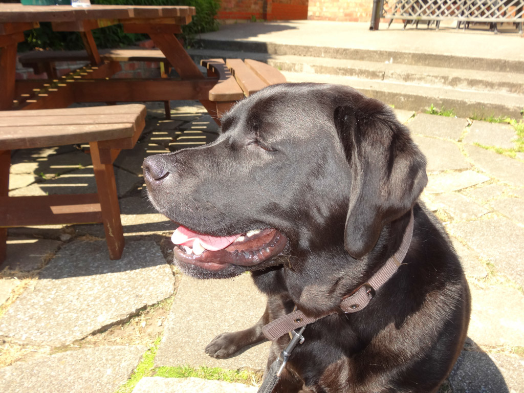 Lunch at the Ship Inn Sewerby