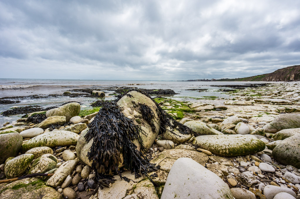 Beach at Sewerby