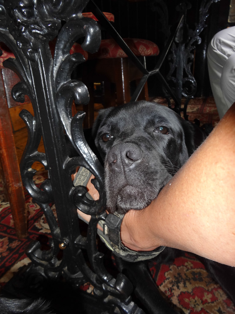 Chilling in the pub