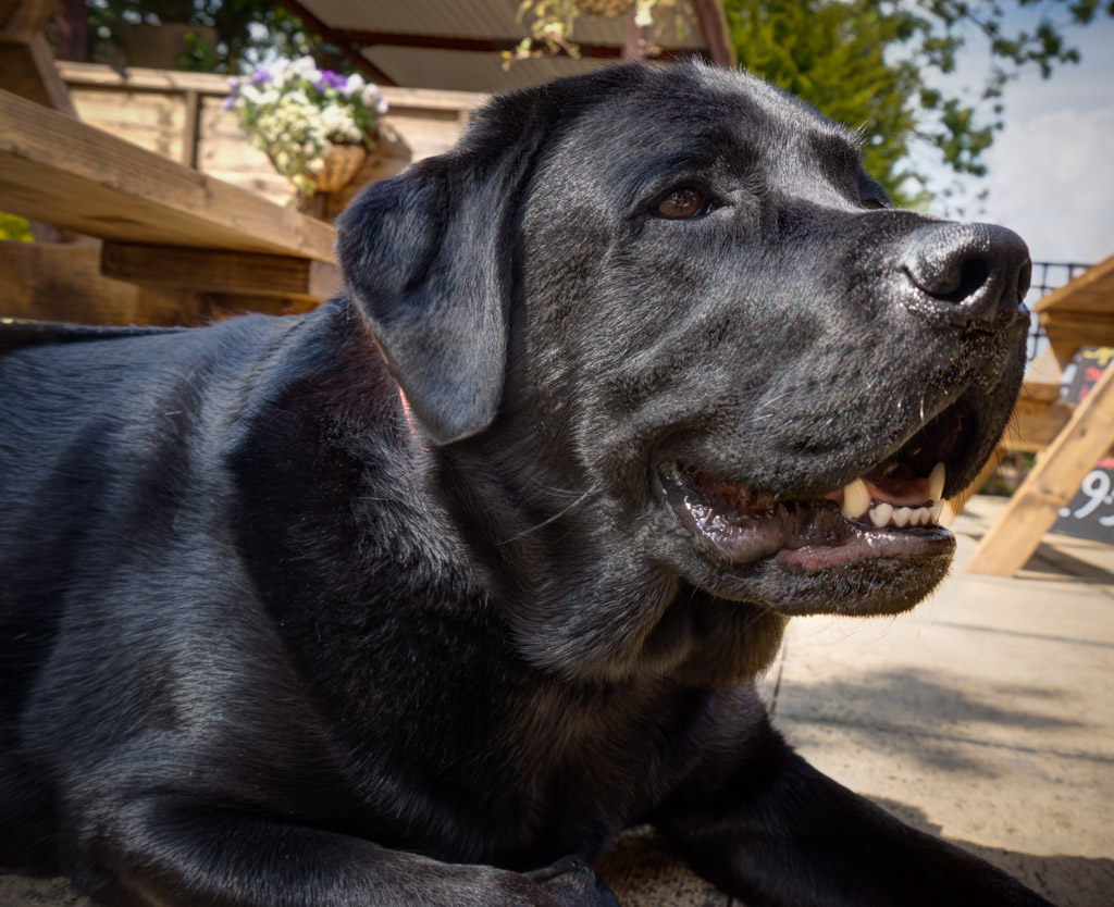 Reggie ready for more