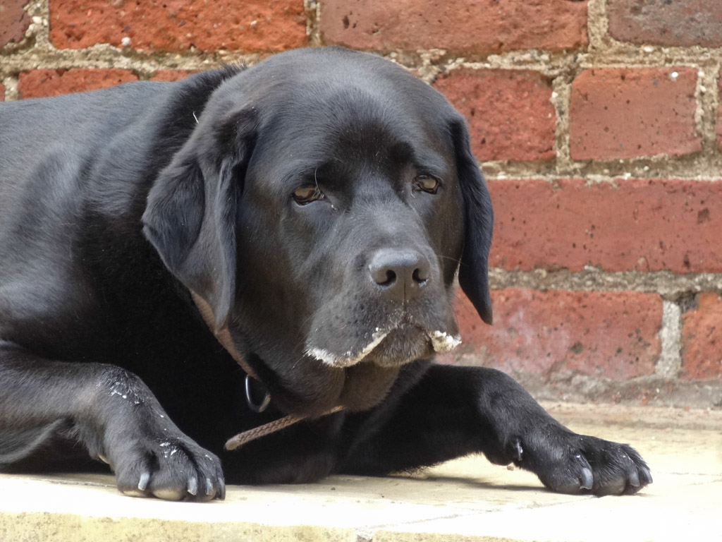 I think I feel sick !